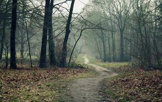A Path In The Woods Autumn Desktop Pc And Mac Wallpaper