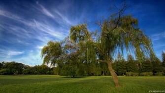 Nature Full HD Wallpaper 1920x1080p Landscapes Prints