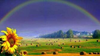 Rainbow Wallpaper Sunshine