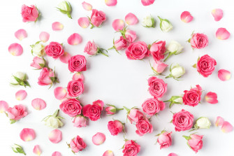 Pink And White Wallpaper