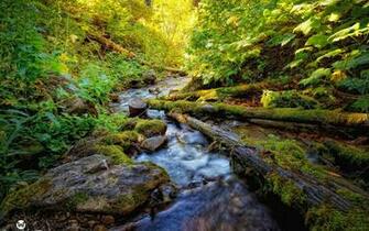 Stream Wallpaper Earth