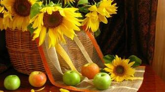 World Best Nature Photography Wallpaper Pic Photosjunction