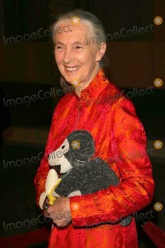 Photos And Pictures Jane Goodall At The Jules Verne