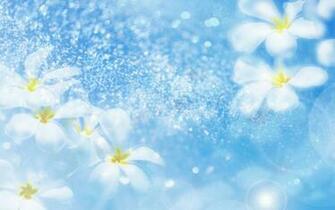 World Romantic Pics Wall Papers Flower Wallpaper Best Pictures