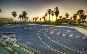 Venice Beach Dunk Elite