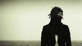 Steven Wilson Harmony Korine From Insurgentes On Vimeo