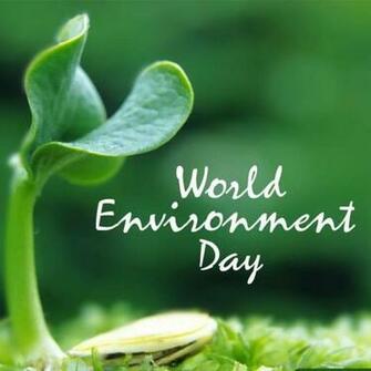 World Environment Day Pictures Image Graphics