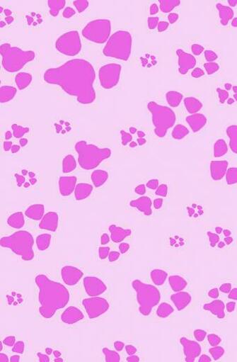 Paw Print Background Hot Pink Prints