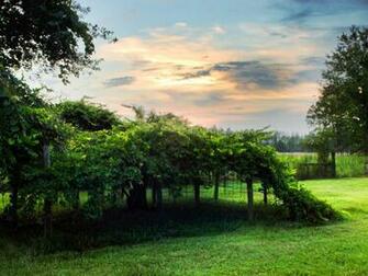 Natural Scene Image Image Sceneries