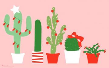 December Christmas Cactus Calendar Wallpaper Sarah Hearts