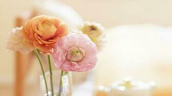 Peonies Wallpaper