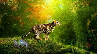 HD Wallpaper Animated