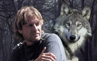 Sean Haricot F Ve Image HD Fond D Cran And