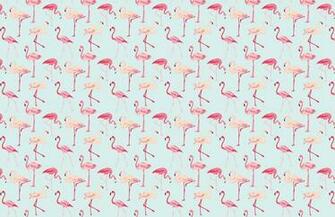 Pink Flamingo Wallpaper Murals