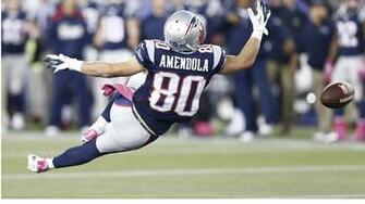 Danny Amendola Injury Not Immediate Concern For New