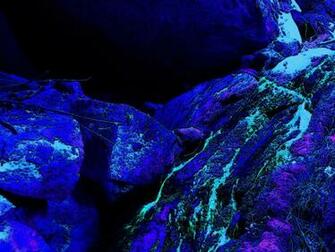 Black Light Wallpaper