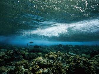 Underwater Landscape Photos Wallpaper