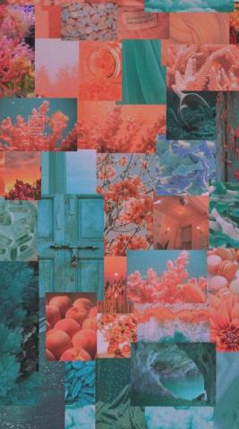 Turquoise And Coral Aesthetic Wallpaper Peach