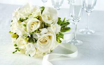 Pure White Rose Wallpaper Colors