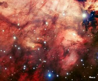 Star Shining In The Sky HD Wallpaper