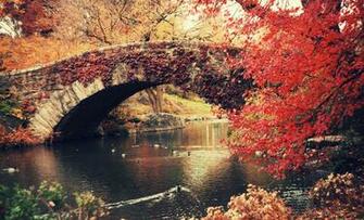 Autumn Jpg 20in 20new
