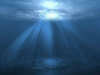 Ocean Floor Wallpaper