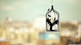 Birds Cage Photo HD 4k Desktop Wallpaper For Ultra Tv