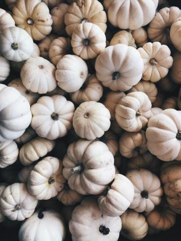 Ellie Severson On Autumn Pumpkin Wallpaper Fall