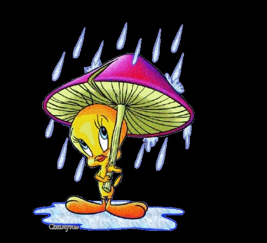 Glitter Gifs Tweety