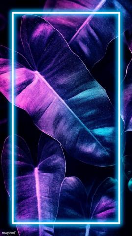 Anthurium Leaves Mobile Screen Wallpaper 4k iPhone And
