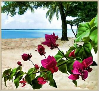 Wallpaper Myrtle Beach And Jamaica For Computer