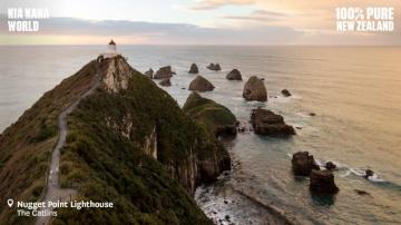 Best New Zealand Zoom Background Pure