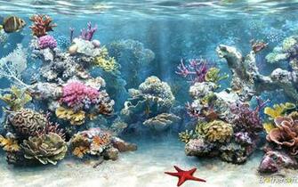 Background And HD Wallpaper Use This Best Gallery Of