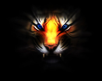 Cool Tiger Wallpaper
