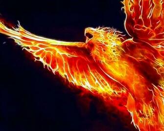 Birds Fire Phoenix Fractalius Wallpaper Animals HD