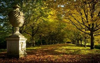 Wallpaper Park Tree Lined Avenue Anglesey Abbey Englisi