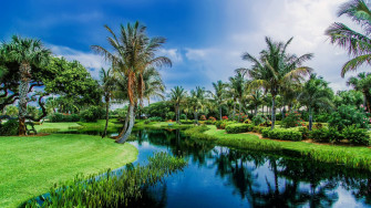 Best HD Nature Wallpaper