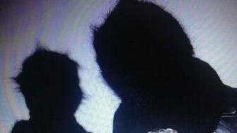 Flood Listen Crystal Castles Return With Instant Dance