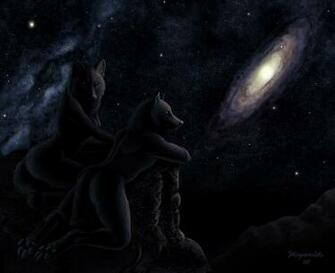 Furry Wolf Wallpaper Wegret