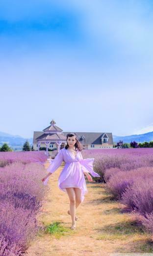 Summertime Phone Wallpaper By Miromiro