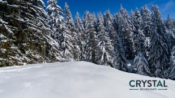 Zoom Ing Around The Slopes Ski Background For Your Next