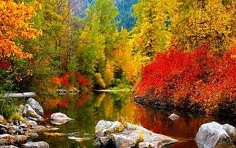 High Resolution Fall Wallpaper Forest River Fuccha Voice