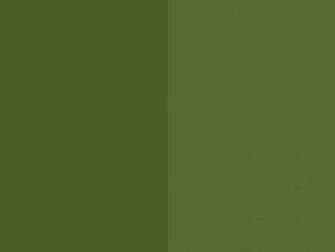 Dark Moss Green Olive Two Color Background Jpg