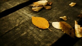 Leaves HD Wallpaper Theme Bin Customization