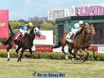 Horse Racing Wallpaper