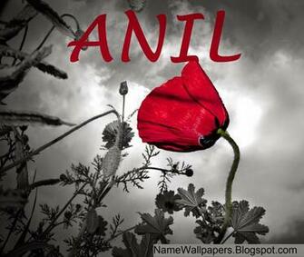 May Name Wallpaper Urdu Meaning Image Logo Signature