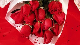 Rose Flower Image HD Wallpaper Of