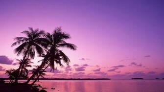 Purple Tropical Sky Wallpaper Computer Desktop