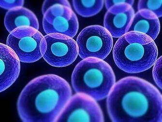 Cell Biology Wallpaper On