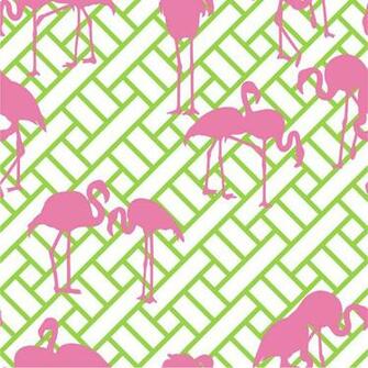Maria Barros And Her Fabulous Flamingos